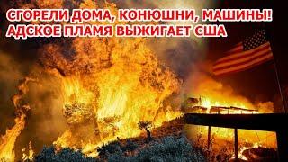 В Америке горят дома, конюшни и машины! Адский пожар выжигает США