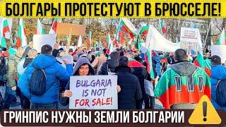 Акция протеста болгар: недоверие властям. Гринпис претендует на земли в Созополе. Новости Болгарии