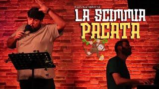 FAVOLE BRUTTE - La Scimmia Pacata #ridere #standupcomedy #favolebrutte