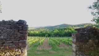 Castello Monte Vibiano Vecchio: Un tuffo nel Cuore Verde d'Italia