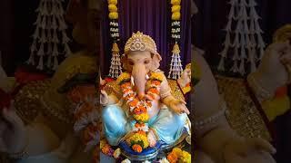 ganpati bappa morya#explore #ganpatibappamorya #ganpati #shorts