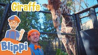 Learning Zoo Animals For Kids With Blippi & More Blippi Episodes | Educational Videos For Children