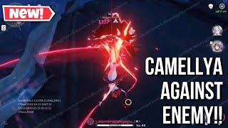 Camellya Against Enemy Target Gameplay Showcase!!! Wuthering Waves 1.4!!!