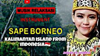 relaxing musik safe borneo | kalimantan island from indonesia relaksasi music safe borneo xmantan