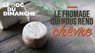 Le doc du dimanche: Le fromage qui nous rend chèvre