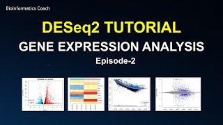 DESeq2 workflow tutorial | Differential Gene Expression Analysis | RNA Seq