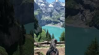 The Best View In Switzerland 