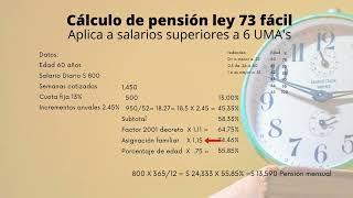 Cálculo de pensión fácil ley 73