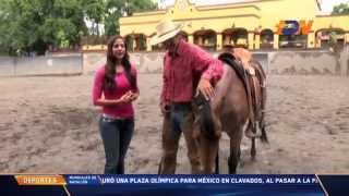 Aprende a comunicarte con los caballos junto a Alvaro Pedrero y Karen Manzano