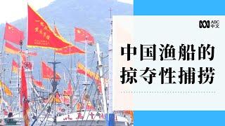 “闯深海，捕大鱼” 中国远洋渔船的全球掠夺性捕捞丨ABC中文