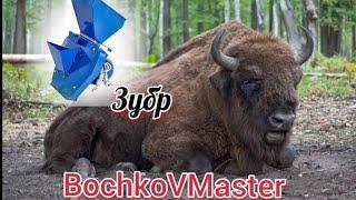 Upgrade в нашем хозяйстве - купили "Зубра"/Уборка в гараже!!#BochkoVMaster#хозяйство#зернодробилка