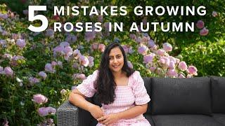 5 Mistakes To Avoid With Your Roses In Fall Season | Cottage Garden Roses 