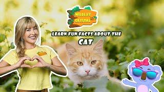 Cat Facts