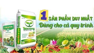 NPK Cây Dứa Tiến Nông - 1 Sản phẩm duy nhất dùng cho cả quy trình