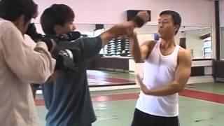 Donnie Yen Style of Action