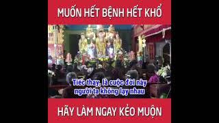 Muốn Hết Bệnh Khổ Hãy Làm Ngay Kẻo Muộn #nammoadidaphat #nhanqualuanhoi #nhanqua #phatphapnhiemmau