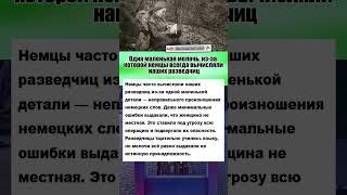 Мелочь, из-за которой немцы всегда вычисляли наших разведчиц #армия #вов #история #интересныефакты