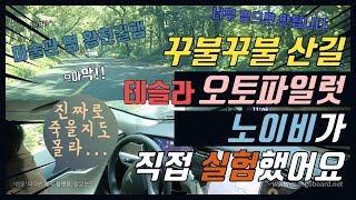 [노이비TV] 꾸불꾸불 산길에서 테슬라 오토파일럿, 진짜 죽을지도 몰라요!! 노이비가 자율주행 직접 실험했습니다.