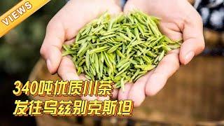 Sichuan Daily | 出发！340吨优质川茶发往乌兹别克斯坦【四川新闻联播】