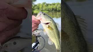 Fishing on the Arkansas River 