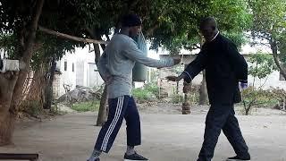 Master Sele Lii akicheza Tai Gi Kwan kitaalamu.