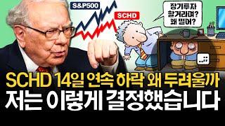 S&P500 vs SCHD, 저는 여기에 투자합니다! (ft. 연금저축, ISA)