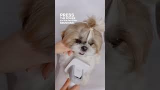 Best vacuum for pet hair 2022 Neakasa pet grooming kits