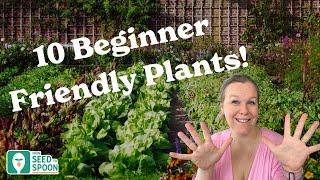 10 Easy-to-Grow Plants for Beginner Gardeners!