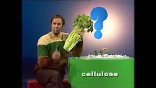 What is cellulose?