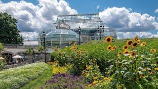 1 Hour of Stunning Phipps Conservatory and Botanical Gardens for Calm, Relaxation & Stress Relief 4K