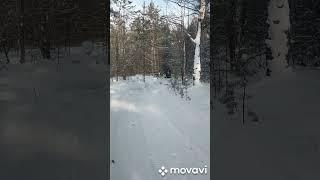 бурлак Азимут!!