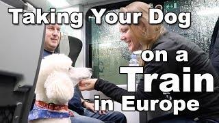 Taking Your Dog on a Train in Europe