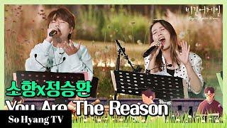 So Hyang (소향) & Jung Seung Hwan (정승환) - You Are The Reason | Begin Again Korea (비긴어게인 코리아)