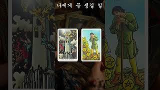 소름돋게 맞추는 타로카드 운세! 나에게 곧 생길일! 신비한 타로 카드로 운세를 확인하세요! #타로, #타로점,