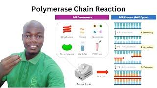 Polymerase Chain Reaction Easy Made #seo #molecularbiology