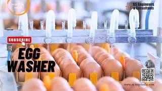 High-Efficiency Egg Washing Line | SS Engineers #egg #eggswasher #eggcleaningline