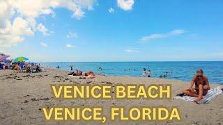 Life in Venice Beach, Florida . Venice Florida Summer 2024 Walking Tour 4K