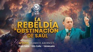 La Rebeldía y Obstinación De Saúl - Apóstol Orlando R. Albornoz F - 24-11-2024 - Venezuela.