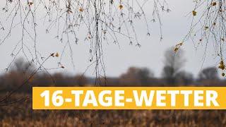 Wetter 16 Tage: Startet November so düster wie sein Ruf?