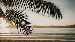 tropical beach scene free stock footage. Palm leaves. Sun kissed sky. ai art. lens flare