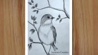 How to draw a Bird Scenery with pencil step by step, Pencil Drawing for beginners