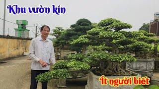 Khám phá khu vườn bí ẩn của anh Vũ Xuân Thục ở Vụ Bản NĐ