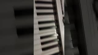 Korg PA2X Pro
