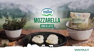 Mila Mozzarella Fior di Latte