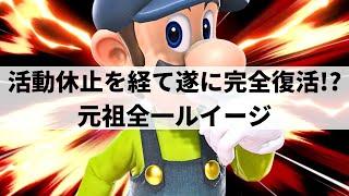 【スマブラSP】帰ってきた元祖全一!?理解不能なルートから異次元なコンボを魅せる最上位ルイージ【ネイビー ルイージ/ハイライト】