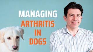 Managing Arthritis in dogs