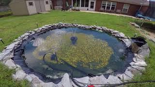 backyard bass pond ideas