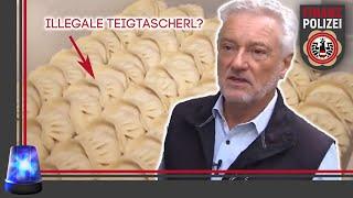 Teigtascherl ILLEGAL produziert?  HUNGERLOHN und schlimme Bedingungen? | Die Finanzpolizei | ATV