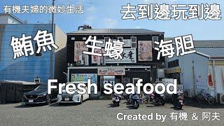 去到邊玩到邊: 靜岡清水魚市場Kashi-no-Ichi Market#日本旅遊#景點推薦#日本魚市場體驗#StayExperience #JapanTravel#SeafoodDelights