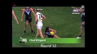 Best AFL Marks of 2014 (Round by round)